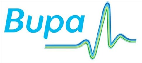 Bupa International Logo