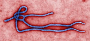 First Ebola virus US
